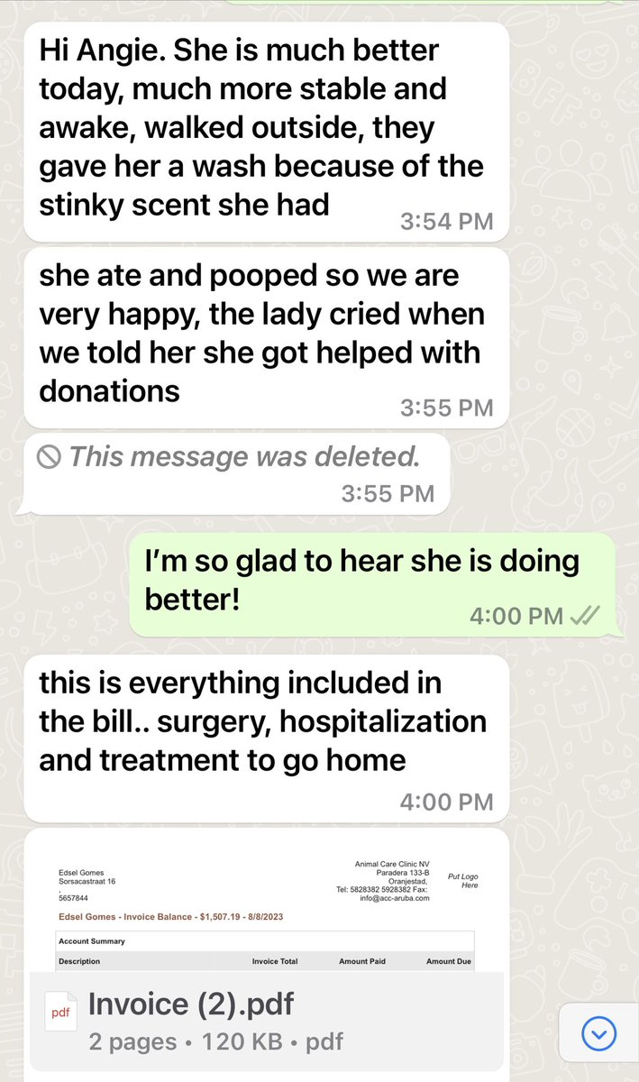 LuvPugFDN's tweet photo. Update on Mamita

Thank you to everyone who is helping us be able to help her!

She is up, eating and walking around https://t.co/0WmfTzLRqT