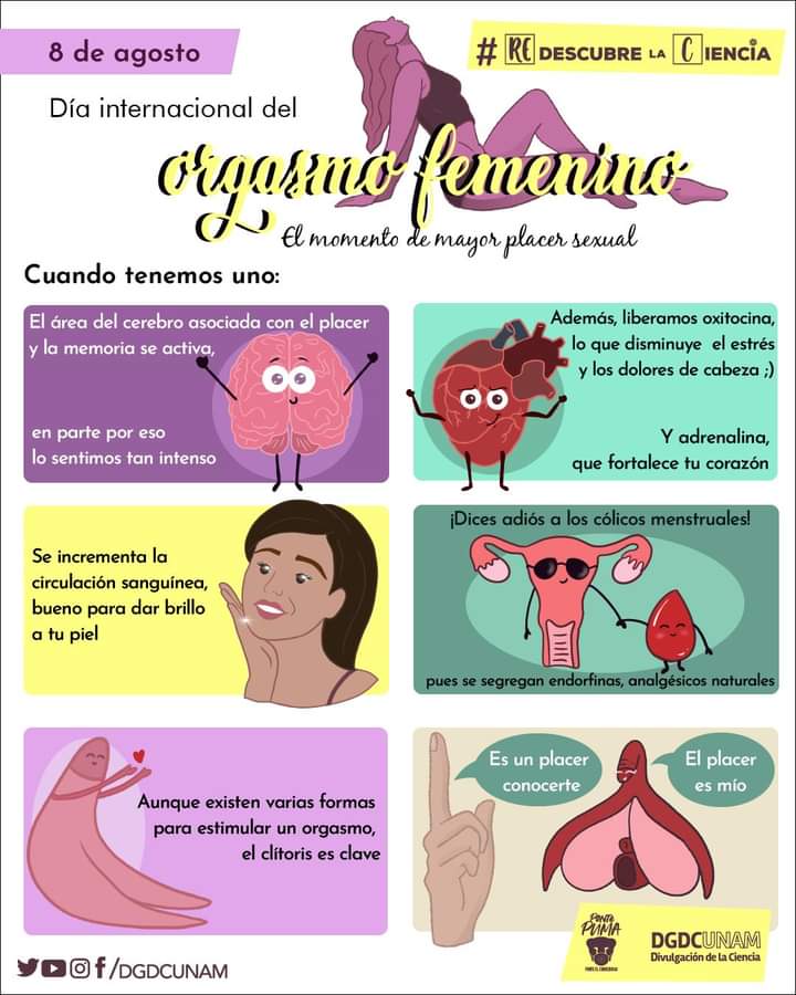zimermanyuni's tweet photo. Celebremos esté día con nuestra pareja. Gatita vamos cabinas @eurocap5 https://t.co/Qs4sbGOzo9