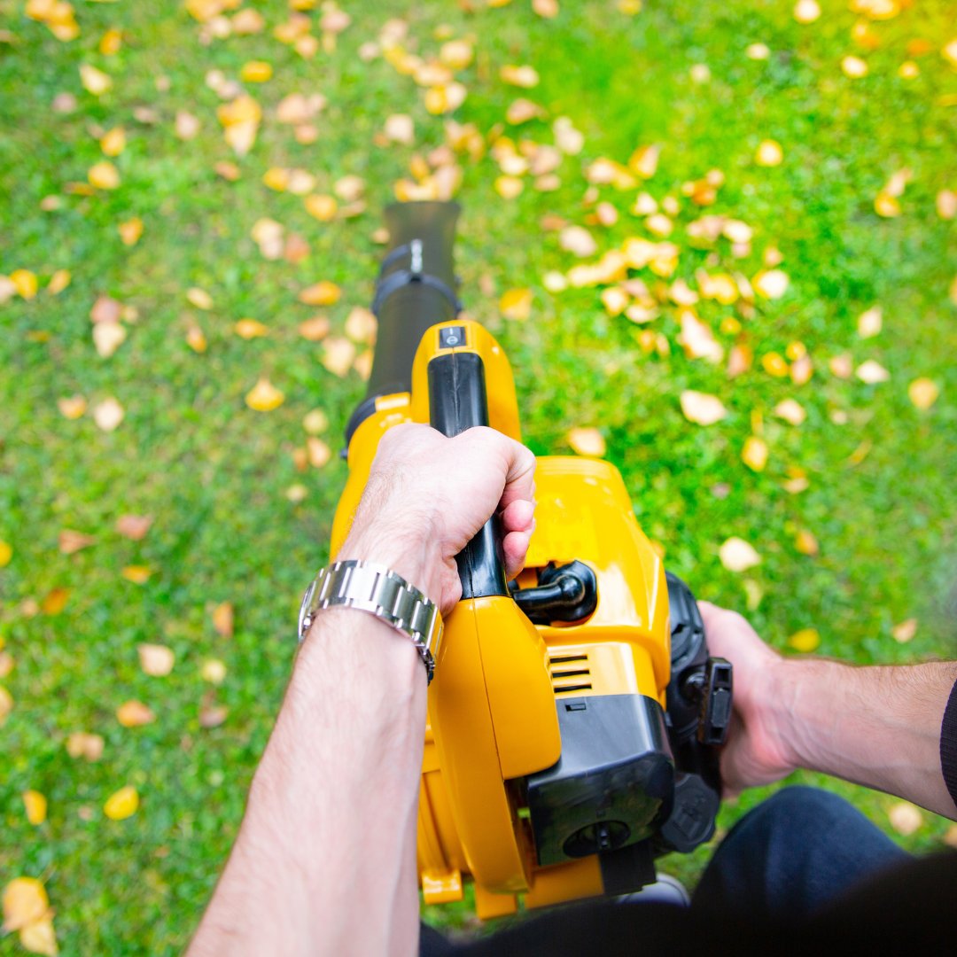 Using a leaf blower? Let's be considerate of our neighbours and avoid using leaf blowers before 8 a.m. and after 7 p.m. on weekdays! Check out other ways to clean yards, information on electric equipment and tips on reducing leaf blower noise: toronto.ca/LeafBlower.