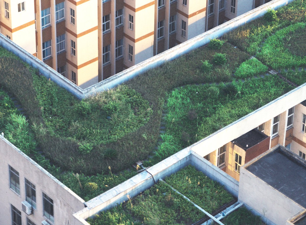 PublicHealth's tweet image. Adopting smart surfaces can reduce pollution and cool neighborhoods, creating a healthier environment. Learn  how U.S. cities are working to protect their communities from the health effects of climate change news.bloomberglaw.com/environment-an… #smartsurfaces #Cities4SmartSurfaces