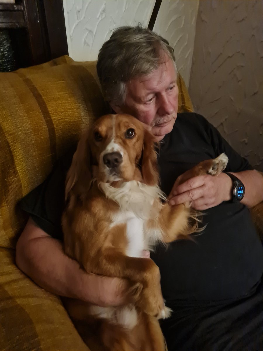 Oliver & Paddy tweet media