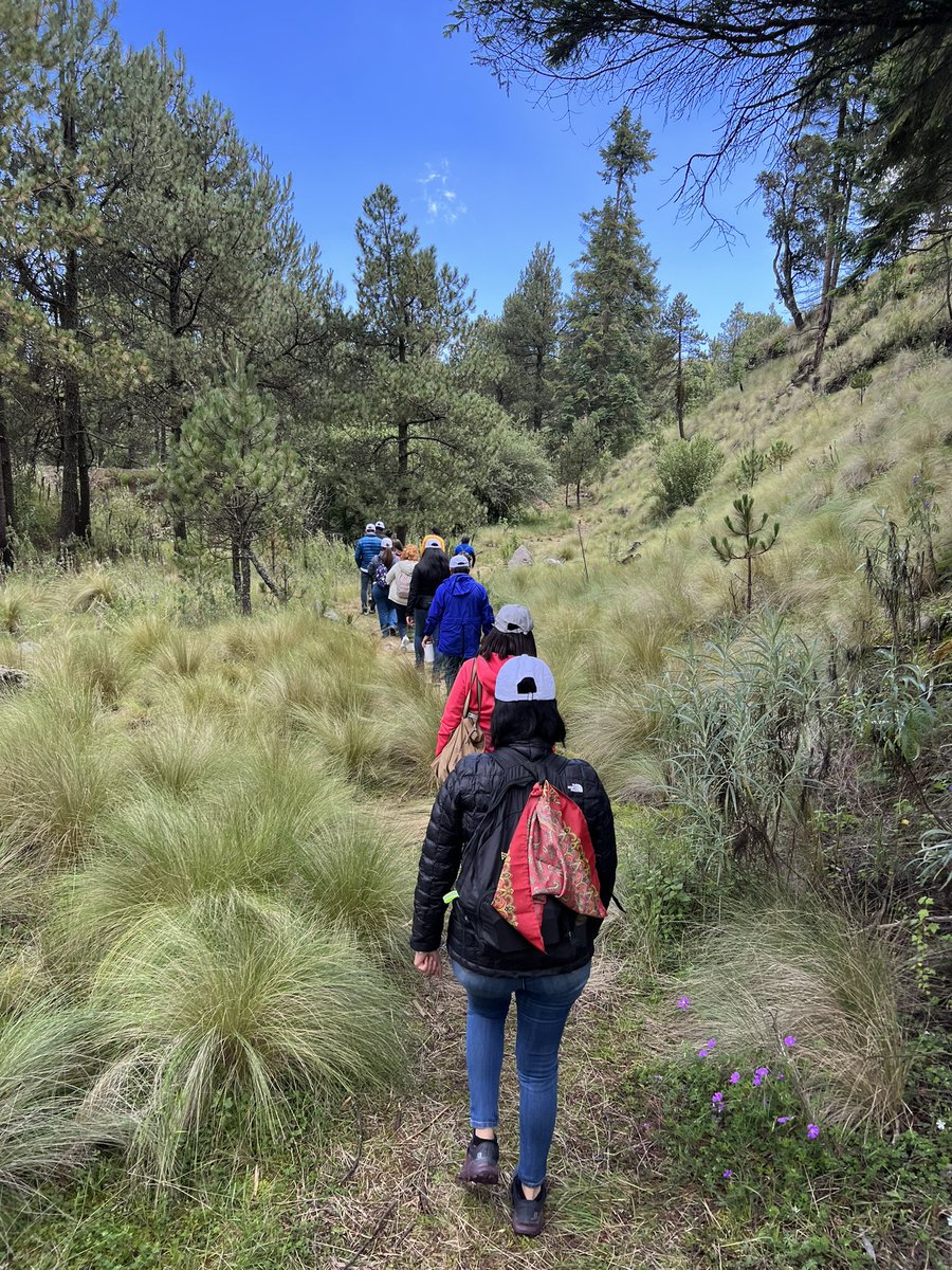 carlossm68's tweet photo. Nuestros voluntarios de @Kyndryl son el corazón del progreso y estamos trabajando por un planeta más sustentable con el medio ambiente. Nuestras acciones de reforestación son claves para ayudar a eliminar nuestra huella de carbono.  Somos #ProCommunity #ClimaAction https://t.co/t20z2CDNrW