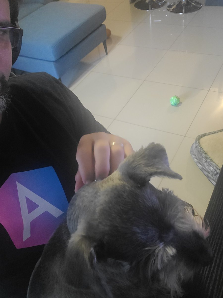 garf50's tweet photo. Alistandonos para el #AngularCommunityMeetup de hoy
#programingdog #dogLife #angular https://t.co/Mv1dAPJSt0