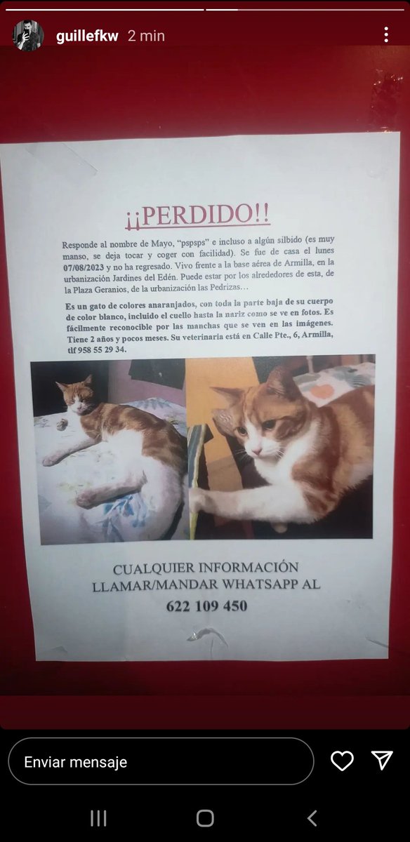 JJoaquinillo's tweet photo. Se ha perdido este gato, se llama mayo, toda la info la teneis en la imagen, si podeis difundir se agradece, es por una buena causa. GRACIAAAS!! https://t.co/gq3ePZGbuq