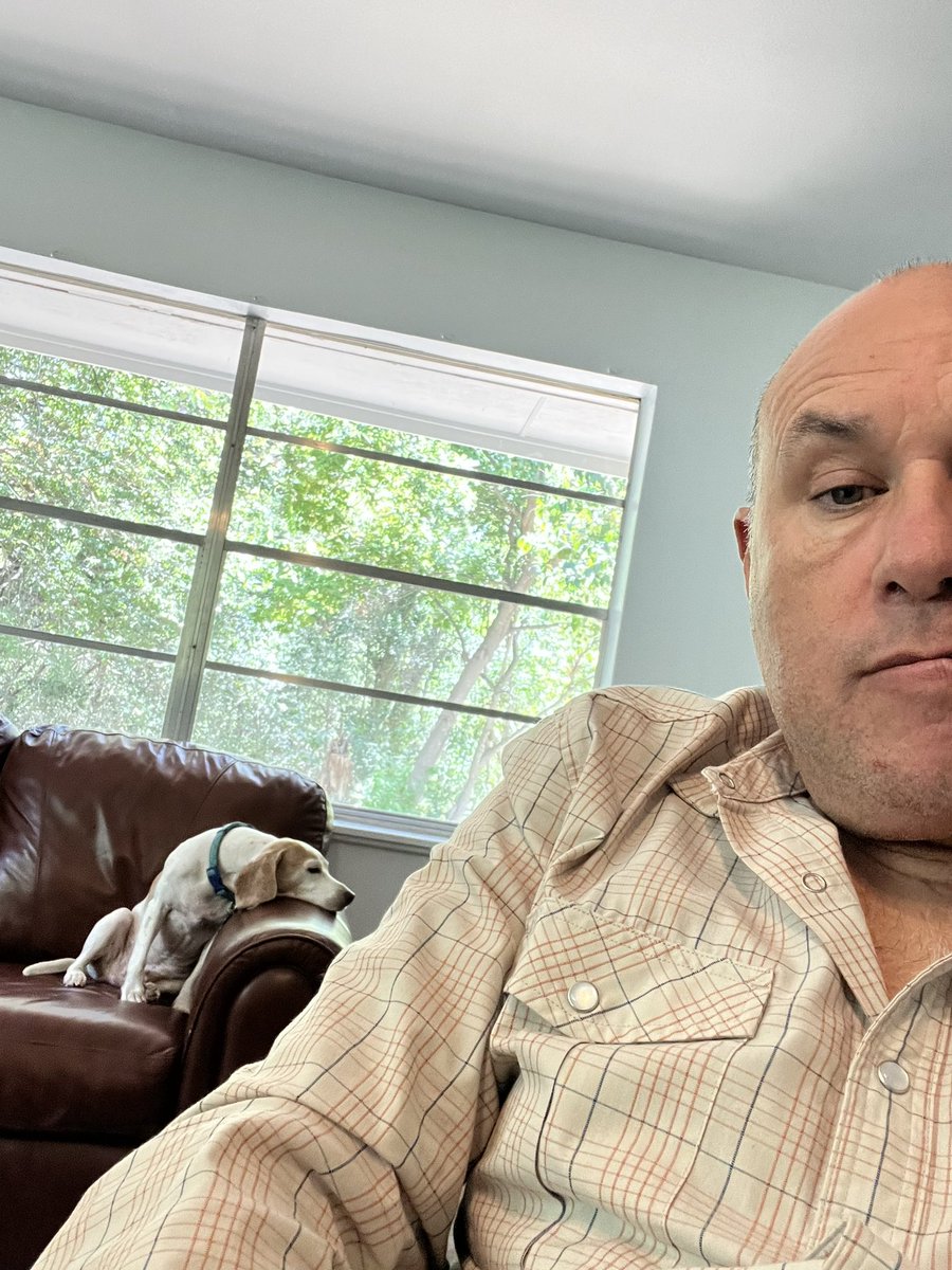 TeamGumball5's tweet photo. Our CBO was determined to sit in on a project meeting this afternoon but he got bored very quickly. Fucking Suits man SMH 🤦. #HucktheGoodBoy #ChiefBarkingOfficer #ConstructionGuys https://t.co/wWqNqJXdGw