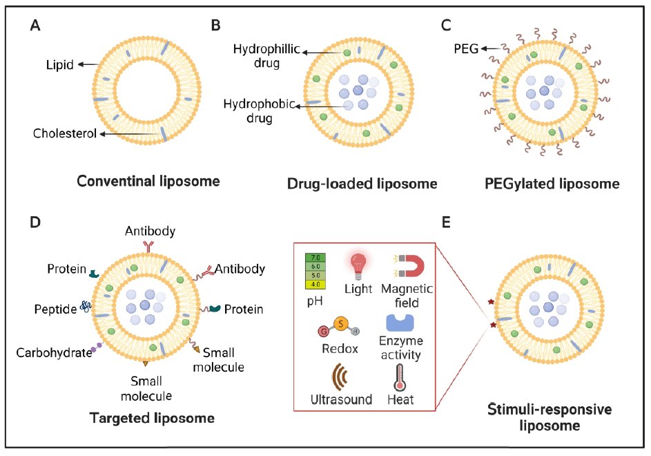 📄Interested in the challenges and opportunities of lipid-based #nanoparticles as drug delivery system to improve #cancer immunotherapy? see our recent review (397 references!). We used lipid-based NPs delivery of STING agonists as example.  onlinelibrary.wiley.com/doi/10.1002/mc…