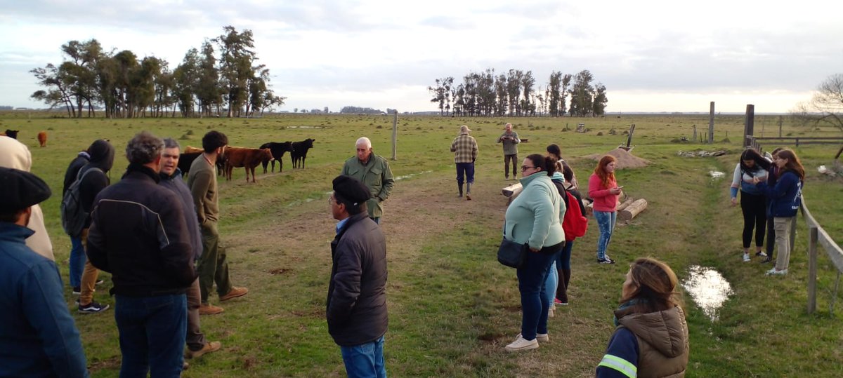 PlanAgro's tweet photo. #Ahora en📍Río Branco, Cerro Largo
En el marco de la Mesa de Desarrollo Rural #MDR de Río Branco
✅Intercambio sobre suplementación
🗣️Ing. Barreto
#SRRB @MGAPUruguay @biouruguay #33 #PlanAgro https://t.co/0bCd6HiVQP