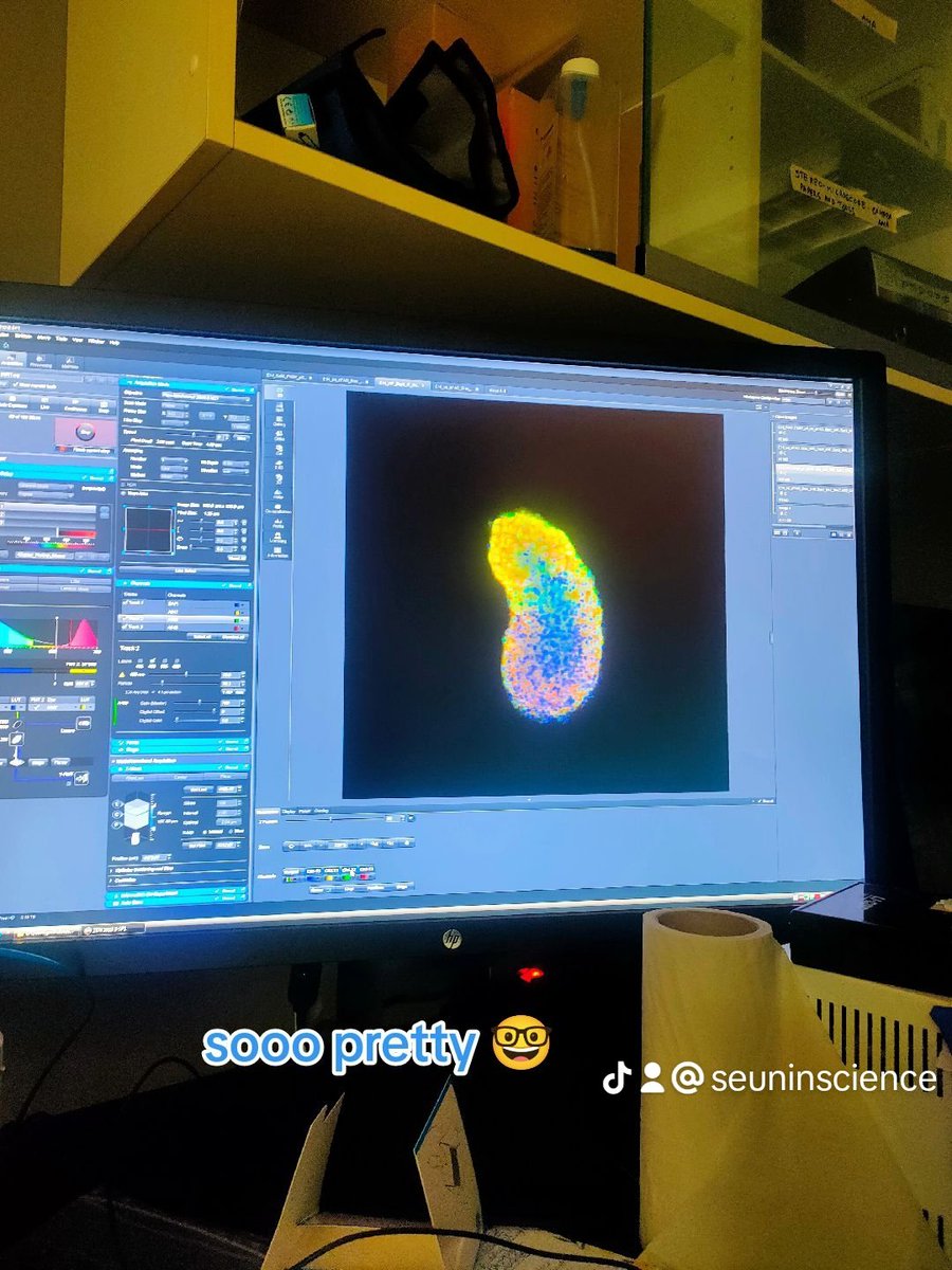 So this summer, I'm doubling down on being consistent with my social media content etc 
I've started a series on TikTok and Insta called #ratemyday. Watch me slowly reach new heights on unhinged!  
Feel free to leave your scores! 
#seuninscience #ditl