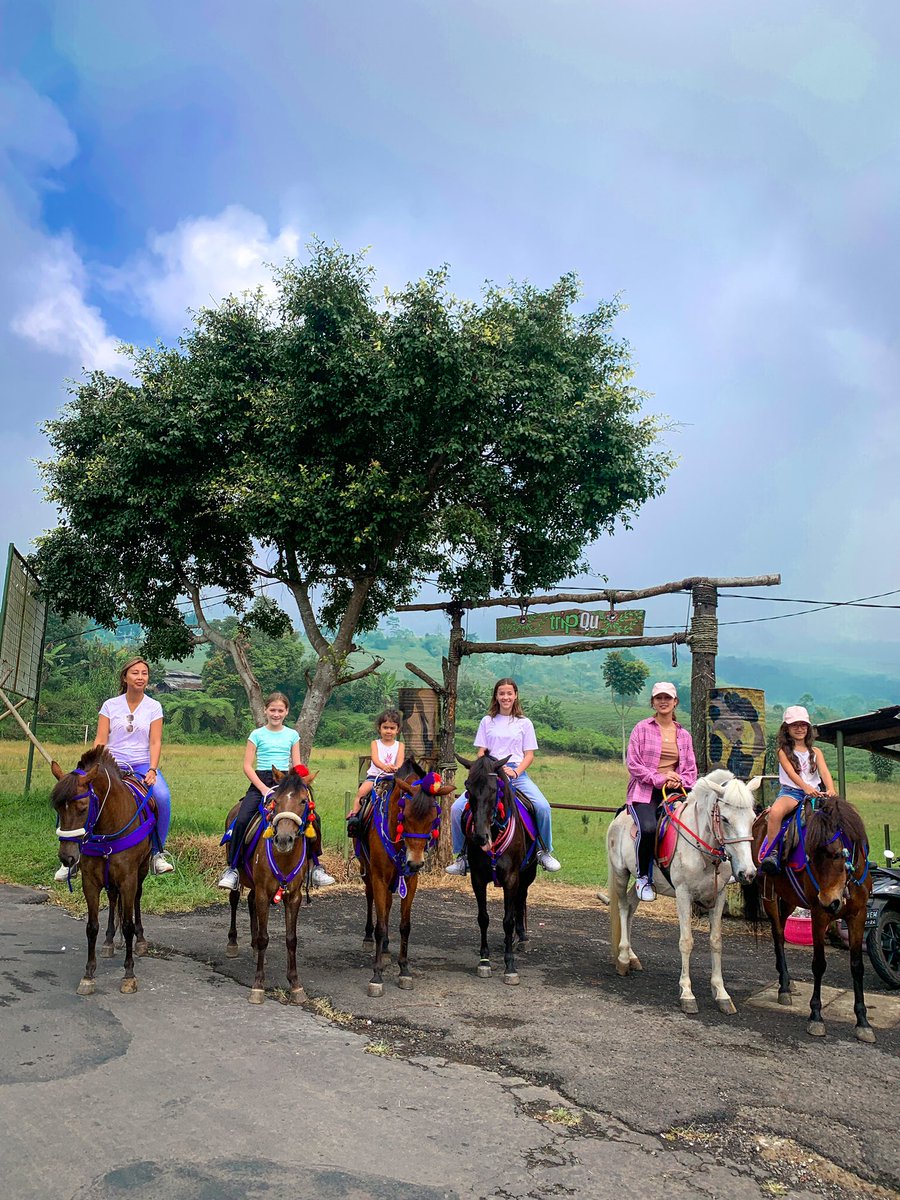 GraciaSpa's tweet photo. enjoy a beautiful weekend on Horseback
.
.
.

#graciaspa #kawahratupool #hotspringpool #resorthotellembang #villalembang #hotellembang #agoda https://t.co/2WHlBLpyCr