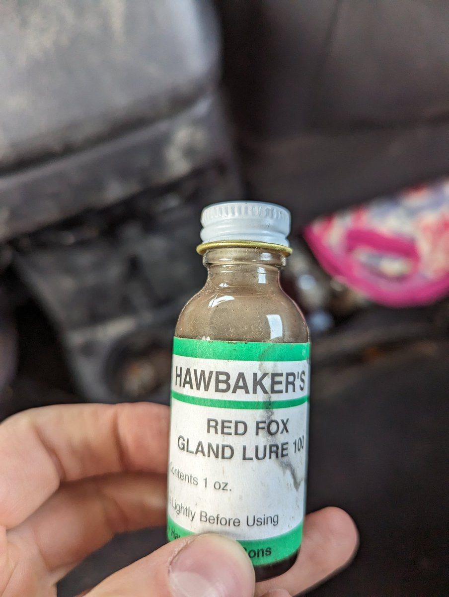 I have a plan to get myself a boyfriend