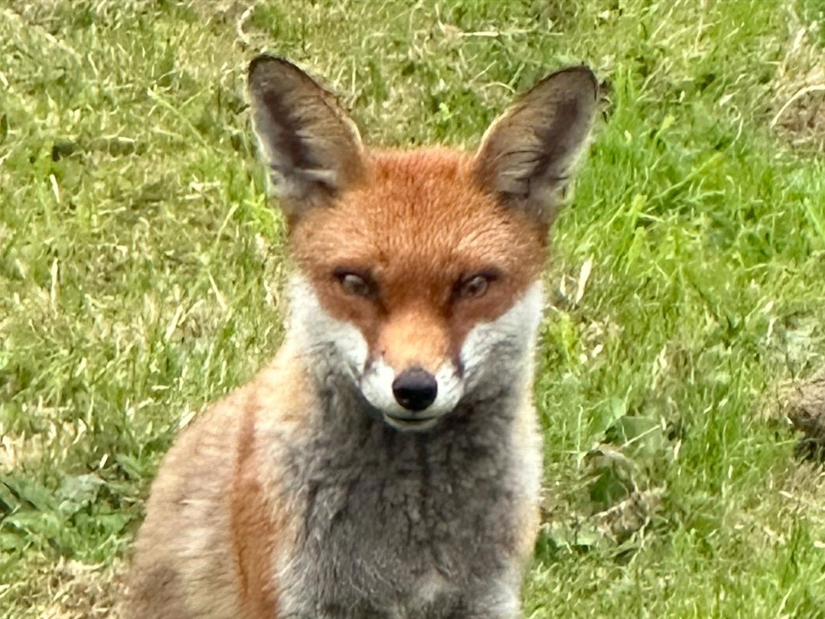 GoodGym Exeter tweet media