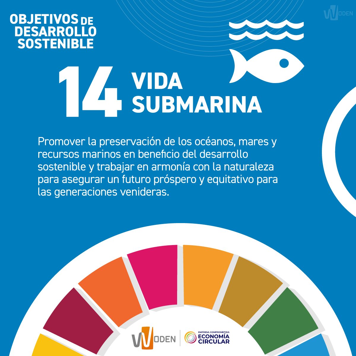 Woden Colombia tweet media