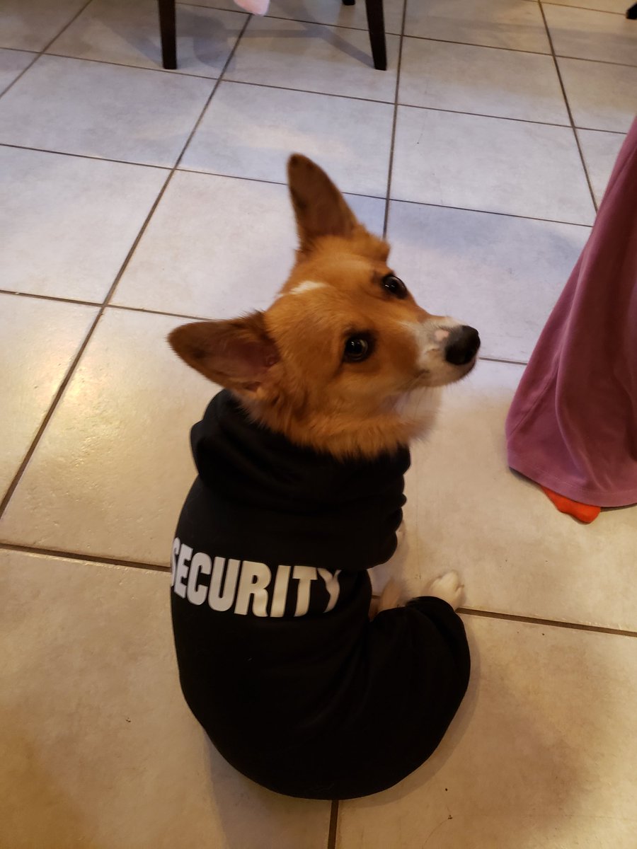 oldDADyoungKIDS's tweet photo. @SalSports I got you Ghost.
SECURITY on way https://t.co/wodaagsgt6