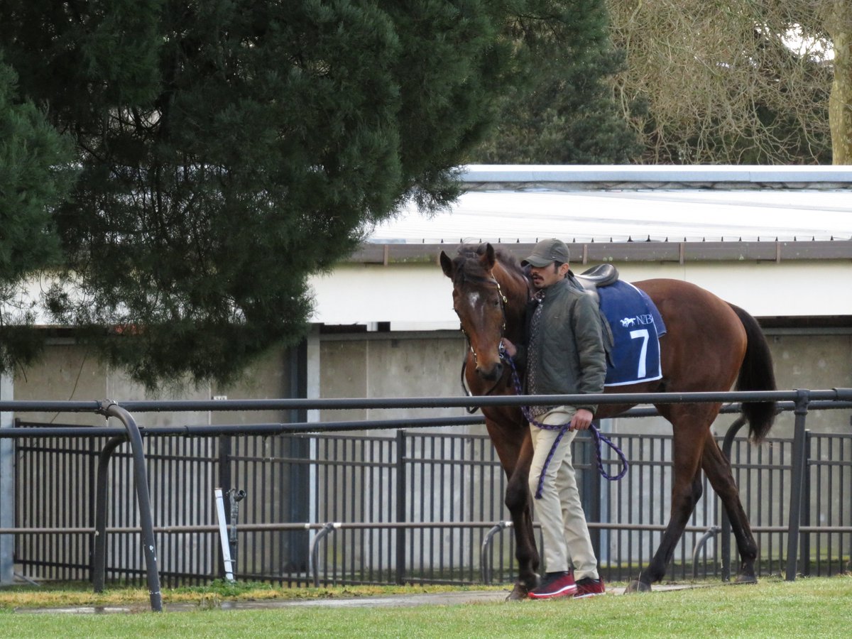 Rogerson Racing tweet media