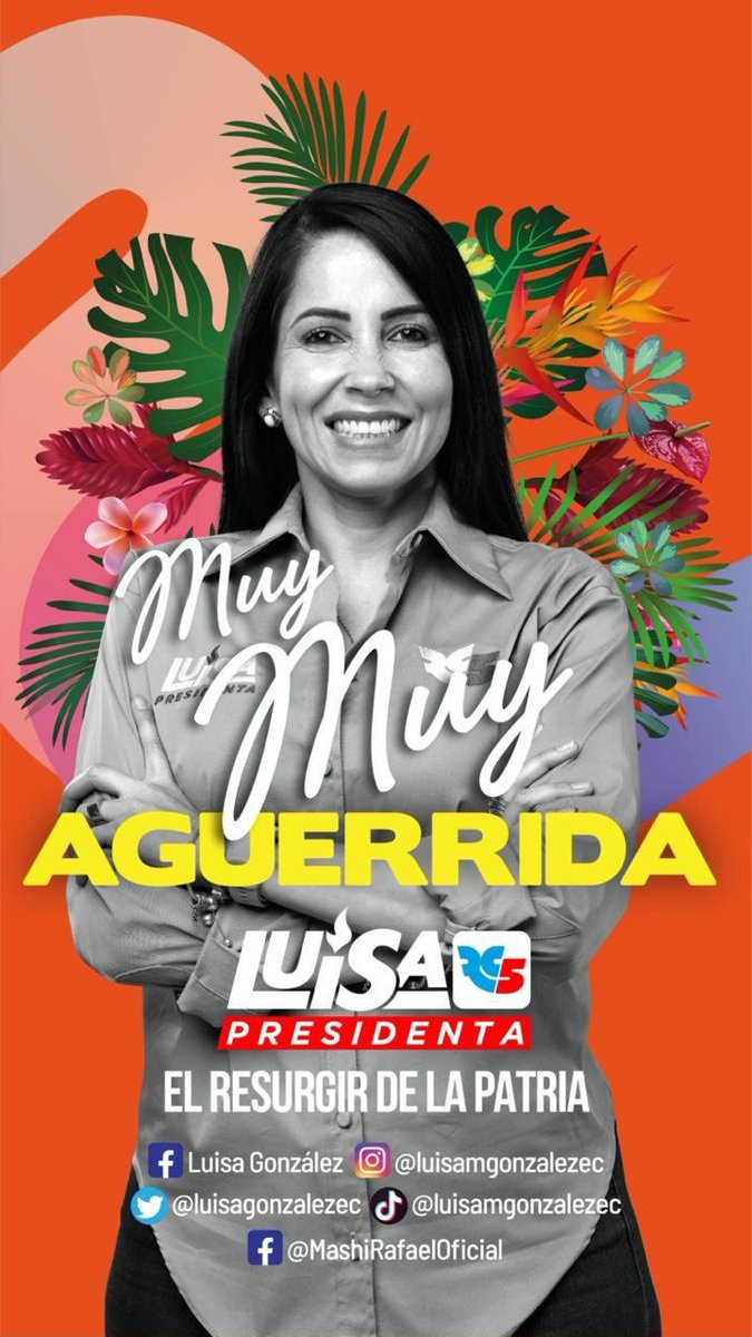 Mashipresidente's tweet photo. El #EcuadorMuyMuy cerca del #ResurgirDeLaPatria con nuestra futura presidenta.

Vuelven los tiempos de gloria, este 20 de agosto todo 🖐🏼🗳️.

@LuisaGonzalezEc @LuisaPresidenta https://t.co/wFV9jGdqWn