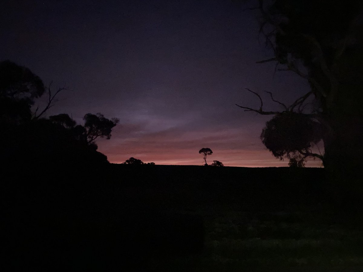 Relentless Coach Jake tweet media