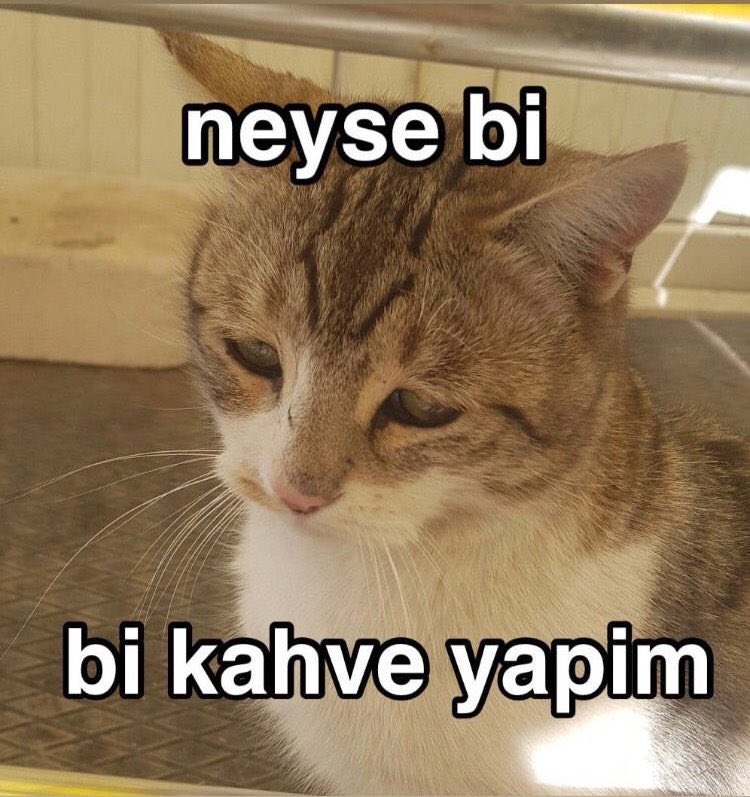 İşte dertleri düşünmekten kaçış şeklim