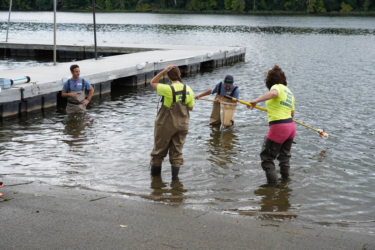 RepBonnie's tweet photo. Clean water is a basic human right, and we must do more to protect it. Rebuilding American infrastructure must include efforts like this to renew environmental health.

https://t.co/4KHV6Rx52e https://t.co/XD44NrjCKZ