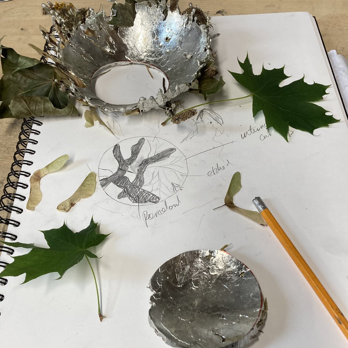 Exploring pushing details further ‘Seeing the Unseen’ 

#sycamoreseeds #sycamoretree #pewter #onthebench # #seeingtheunseen