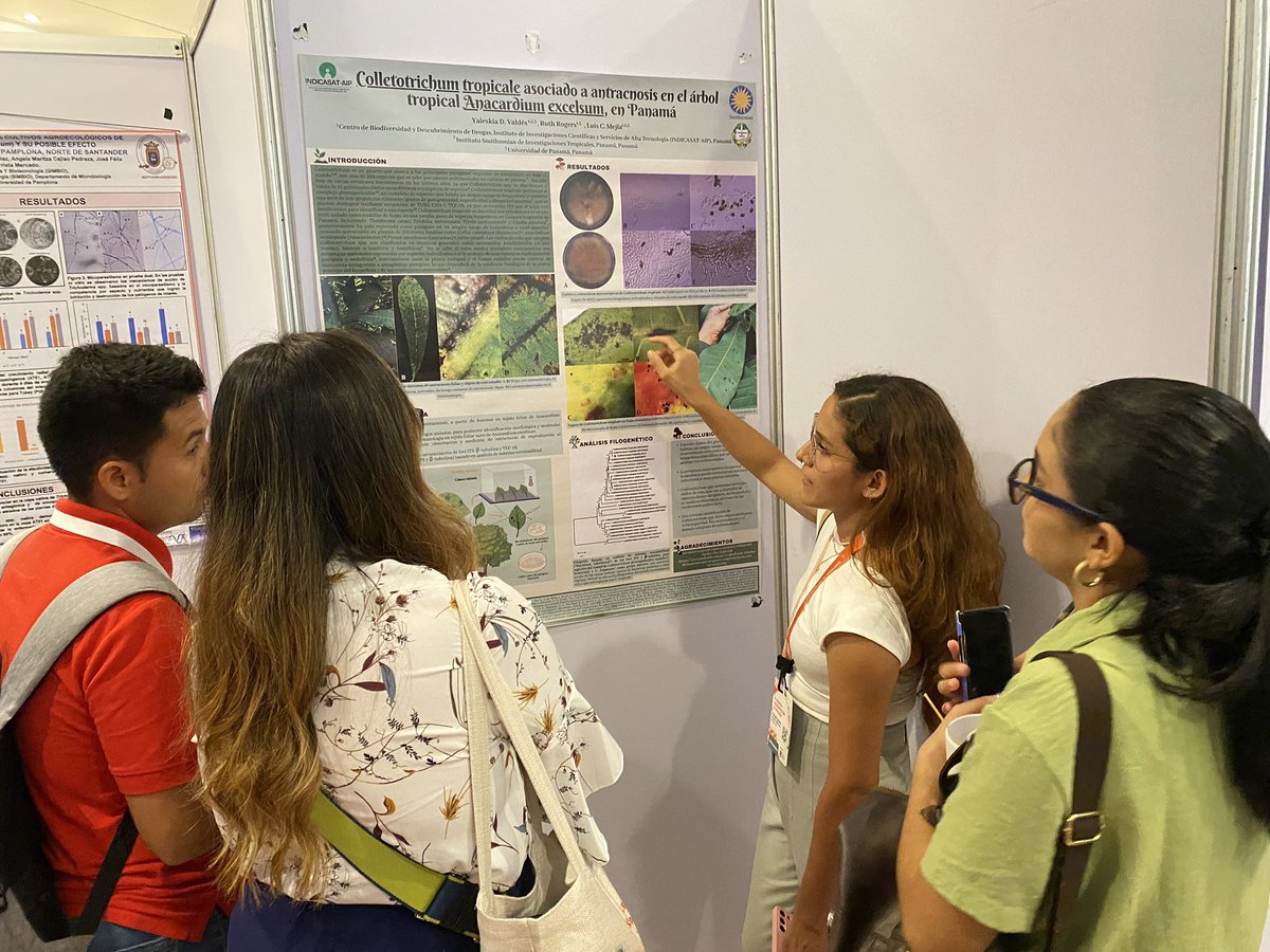 indicasat's tweet photo. 📣Sesión de Póster dentro del XI Congreso Latinoamericano de Micología (XI CLAN) 2023.

#micología #xicongresodemicologia2023 #hongos🍄 #ciencia #investigacióncientífica #cienciaytecnologia #educación #conocimiento #cienciaenminutos #hacemosinvestigacióncientífica https://t.co/QS39HuDMbG
