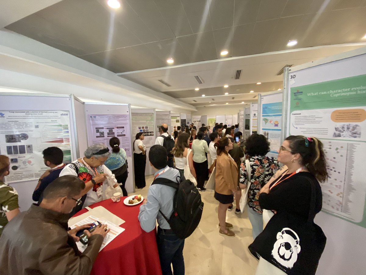 indicasat's tweet photo. 📣Sesión de Póster dentro del XI Congreso Latinoamericano de Micología (XI CLAN) 2023.

#micología #xicongresodemicologia2023 #hongos🍄 #ciencia #investigacióncientífica #cienciaytecnologia #educación #conocimiento #cienciaenminutos #hacemosinvestigacióncientífica https://t.co/QS39HuDMbG