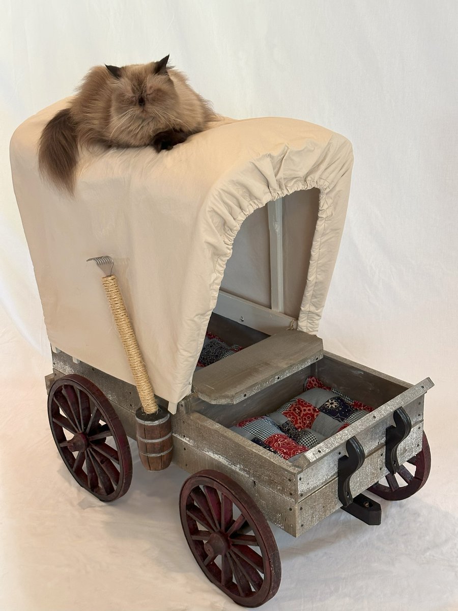 LittleHouseLH's tweet photo. Giveaway from Little House Life Hacks, Running Press, and Square Paws!

Five first-prize winners receive an autographed copy of Little House Life Hacks.  One grand prize winner receives an autographed copy of the book  &amp; Covered Kitty Wagon!
Enter: https://t.co/upGopsY5tE https://t.co/CaEzNJYAPk