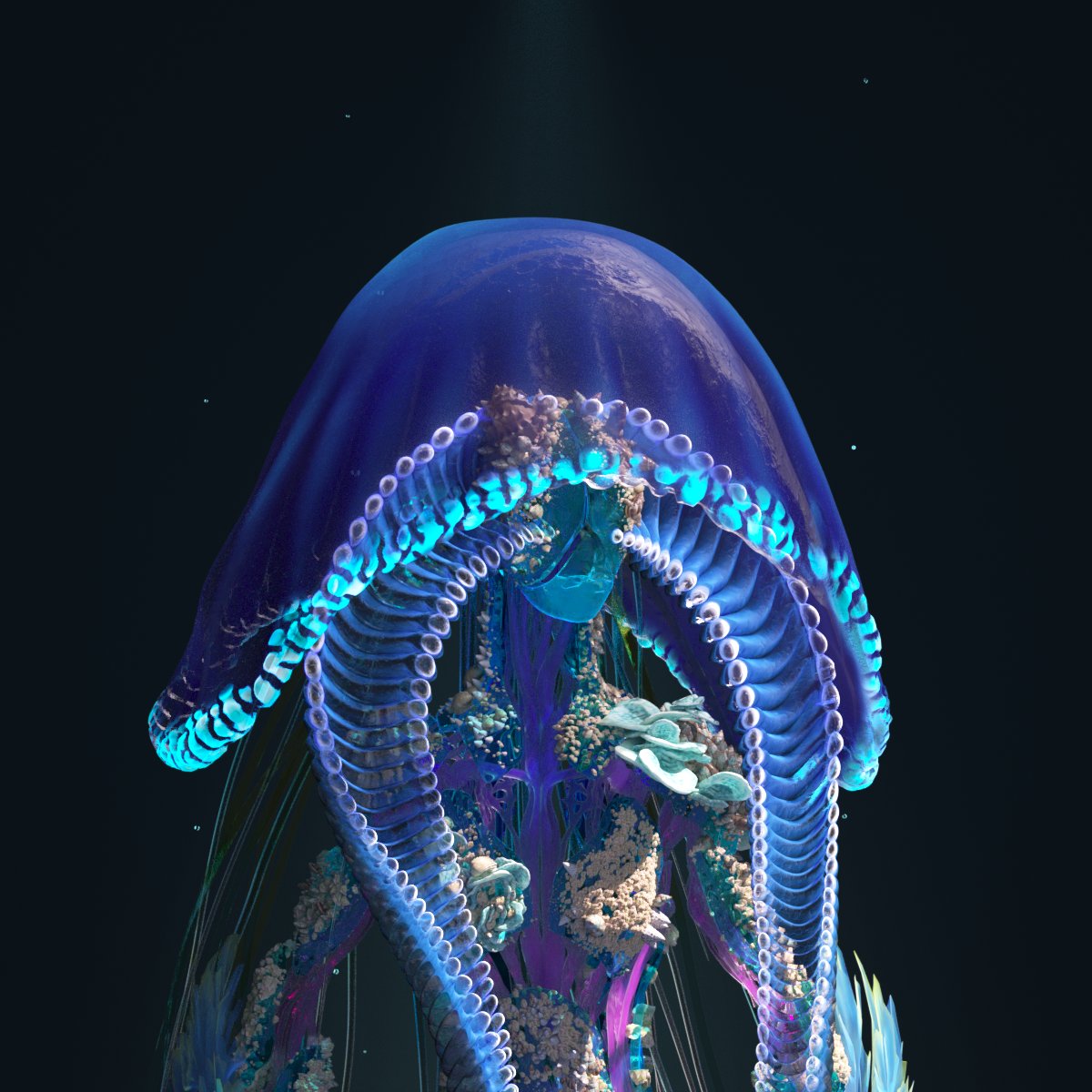 ecosapiensxyz's tweet photo. Interact if you care about our oceans 🌊 https://t.co/jOsXmy16oM