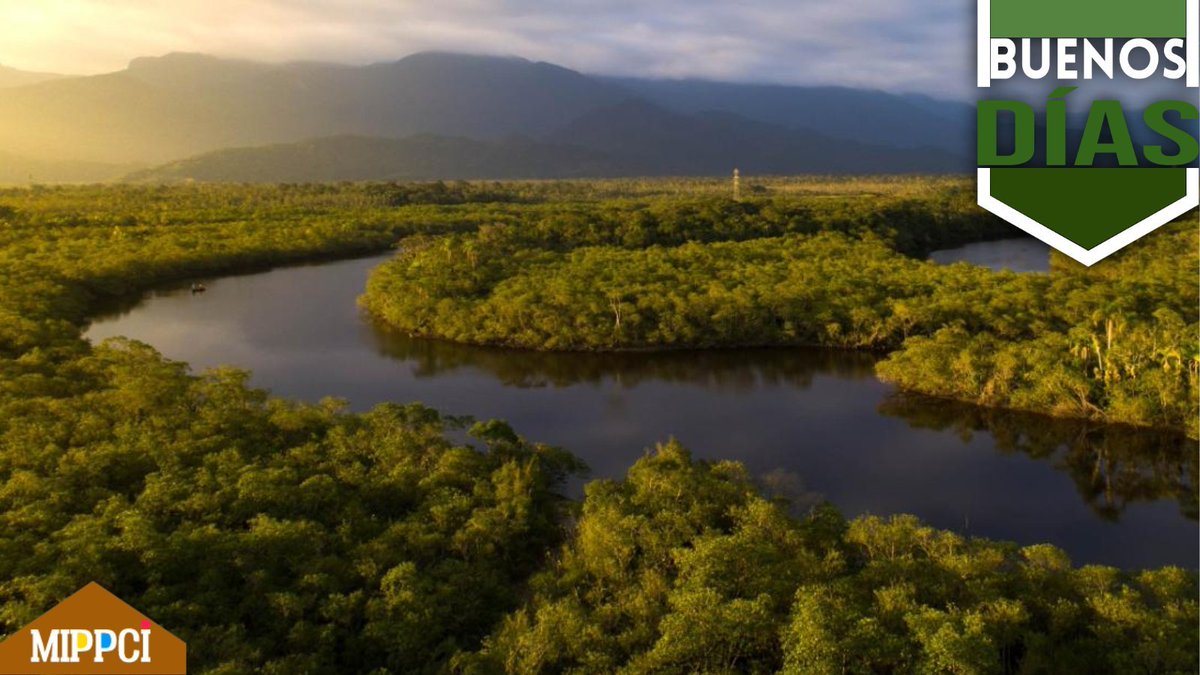 #9Ago | 🇻🇪 ¡Buenos Días!☀️ 
Cada día este pueblo noble se levanta con las esperanzas renovadas y con más fuerzas para luchar por el bienestar, la estabilidad y la felicidad que se merece.
¡Feliz miércoles!