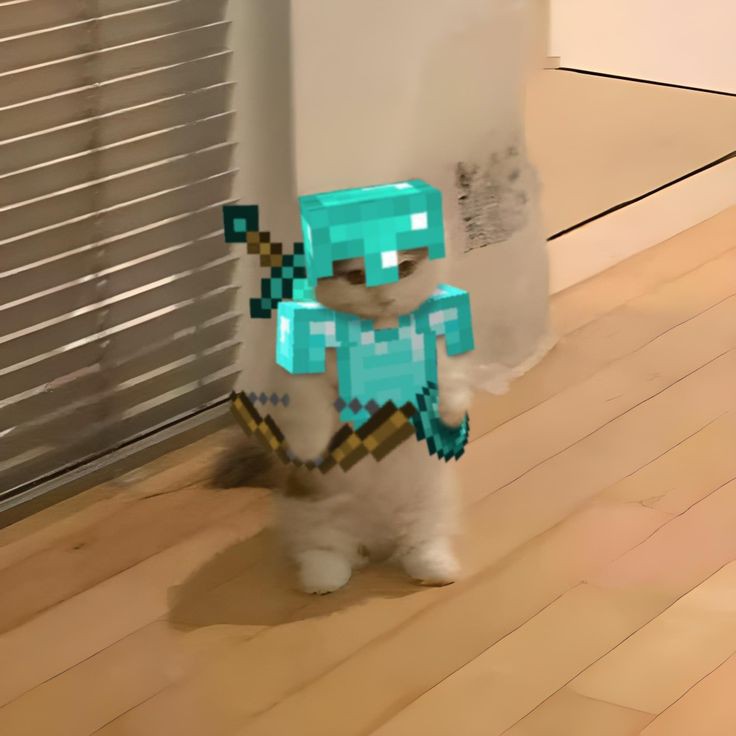 SofiaStretton's tweet photo. yo it's just a cat in minecraft outfit, nothing else https://t.co/JwDnq105FA