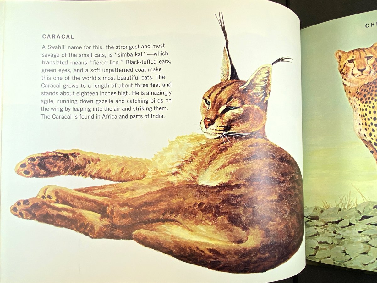 Clark Library tweet media