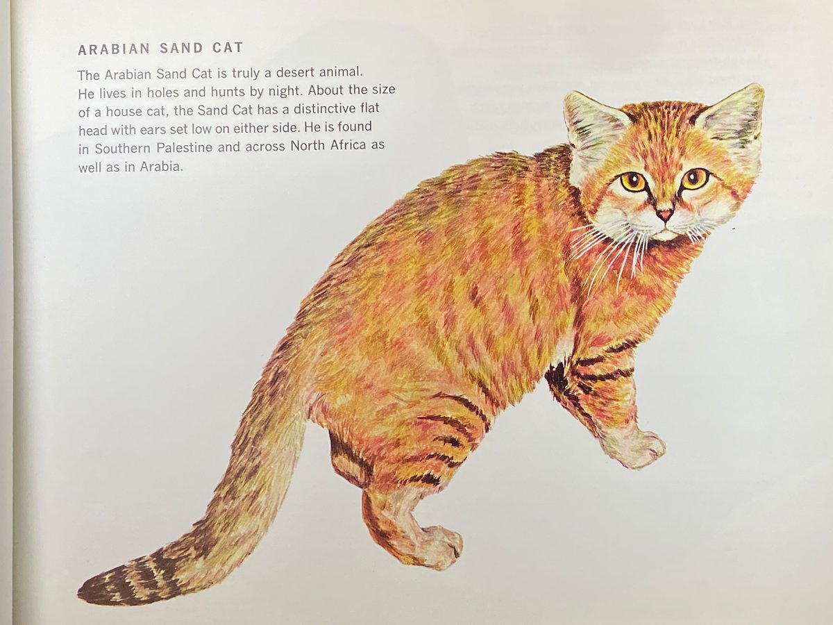 Clark Library tweet media