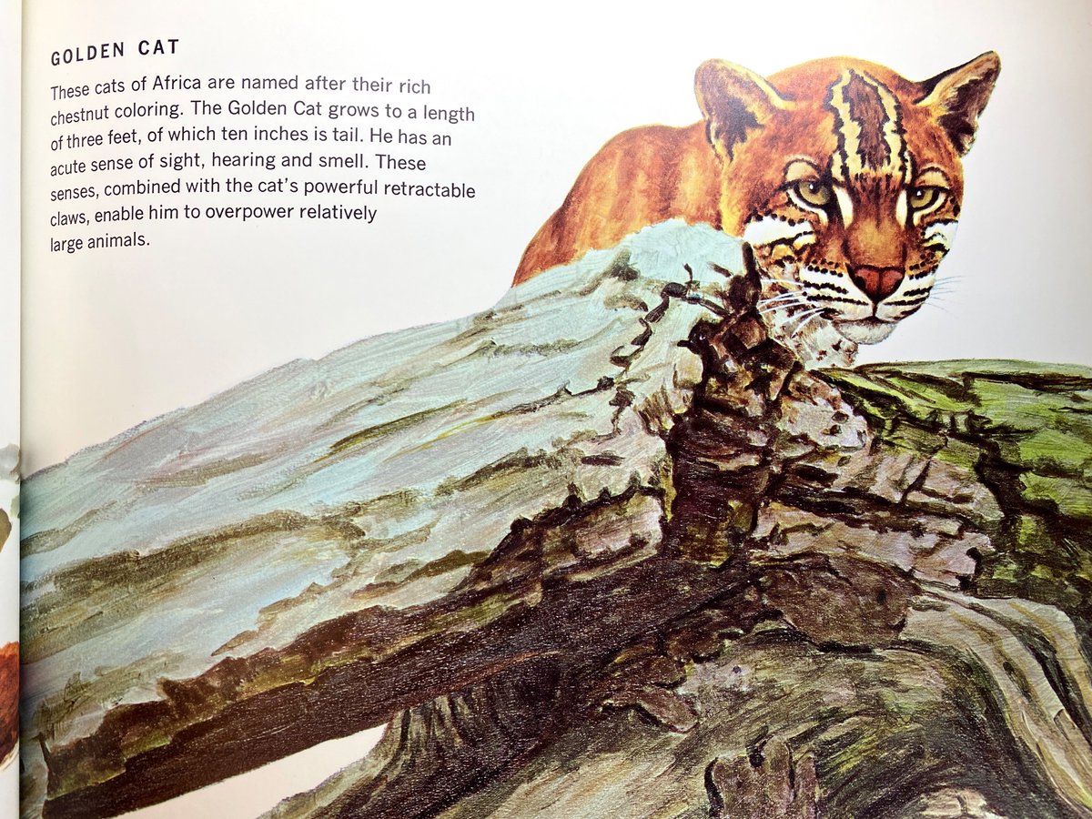 Clark Library tweet media