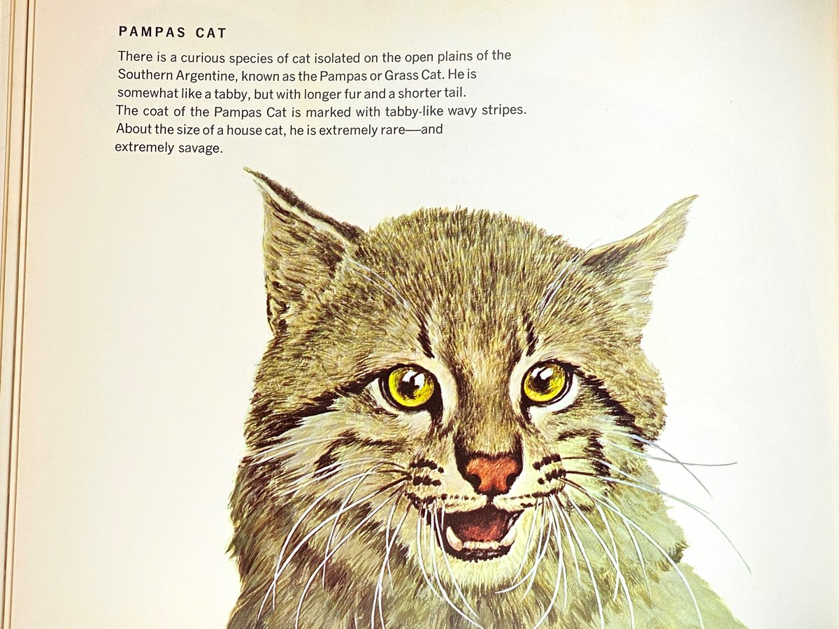 Clark Library tweet media