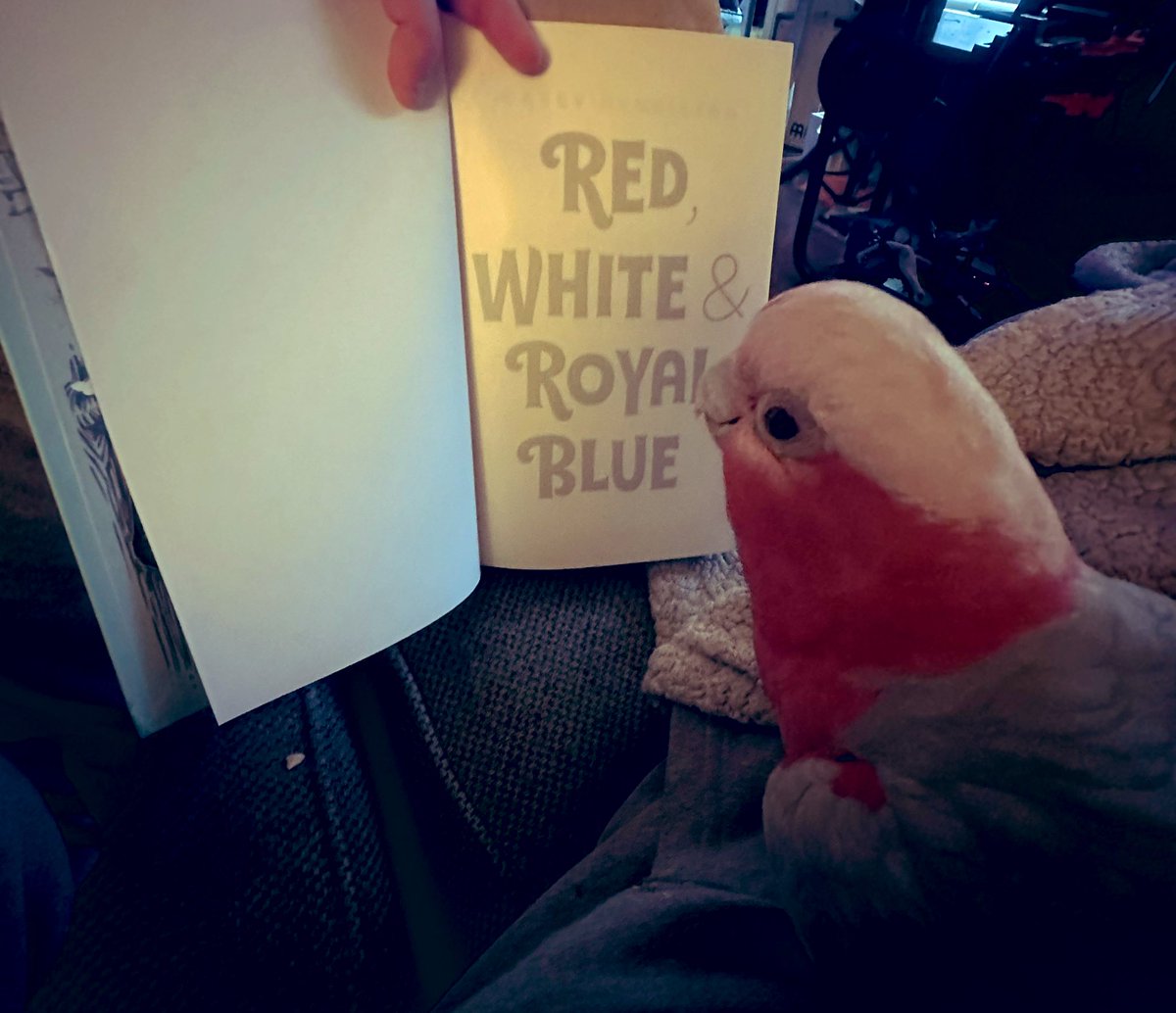 Rosie &amp; I are excited to watch <a href="/RWRBonPrime/">Red, White & Royal Blue on Prime</a> <a href="/RWRBNews/">Red, White & Royal Blue Updates</a> so we are reading the book again! So stoked #RWRBMovie #RWRBRead #RedWhiteAndRoyalBlue <a href="/PrimeVideo/">Prime Video</a>