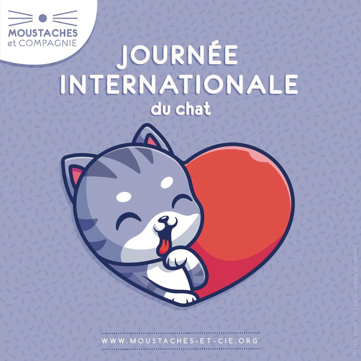 En ce 8/08 journée internationale du chat