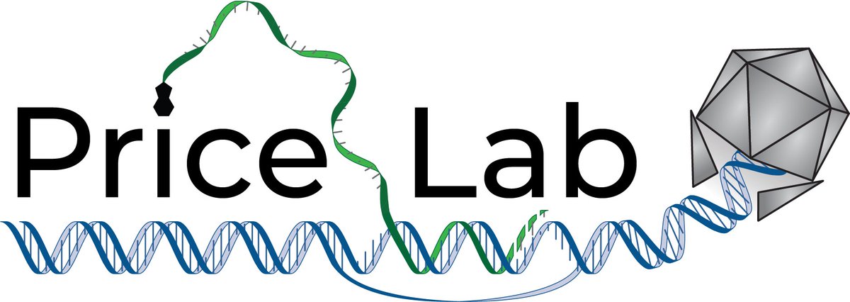 PricelessSci's tweet photo. Interested in the RNA biology of DNA viruses? So are we! Hopefully I captured that in this (first version) of a new Price Lab logo! https://t.co/E7CEO1ZYjd