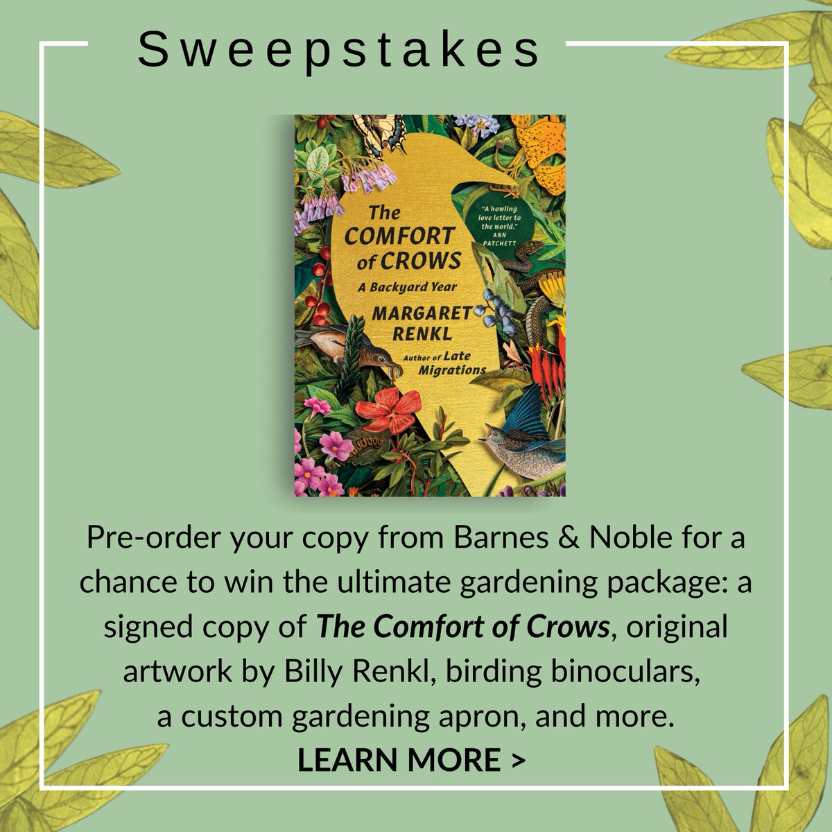 Preorder The Comfort of Crows from @BNBuzz and you'll be entered for a chance to win a box of book-related gifts (binoculars, garden apron, ORIGINAL ART by my genius brother, Billy Renkl, whose work appears alongside every essay in the book, and more!): barnesandnoble.com/w/the-comfort-…