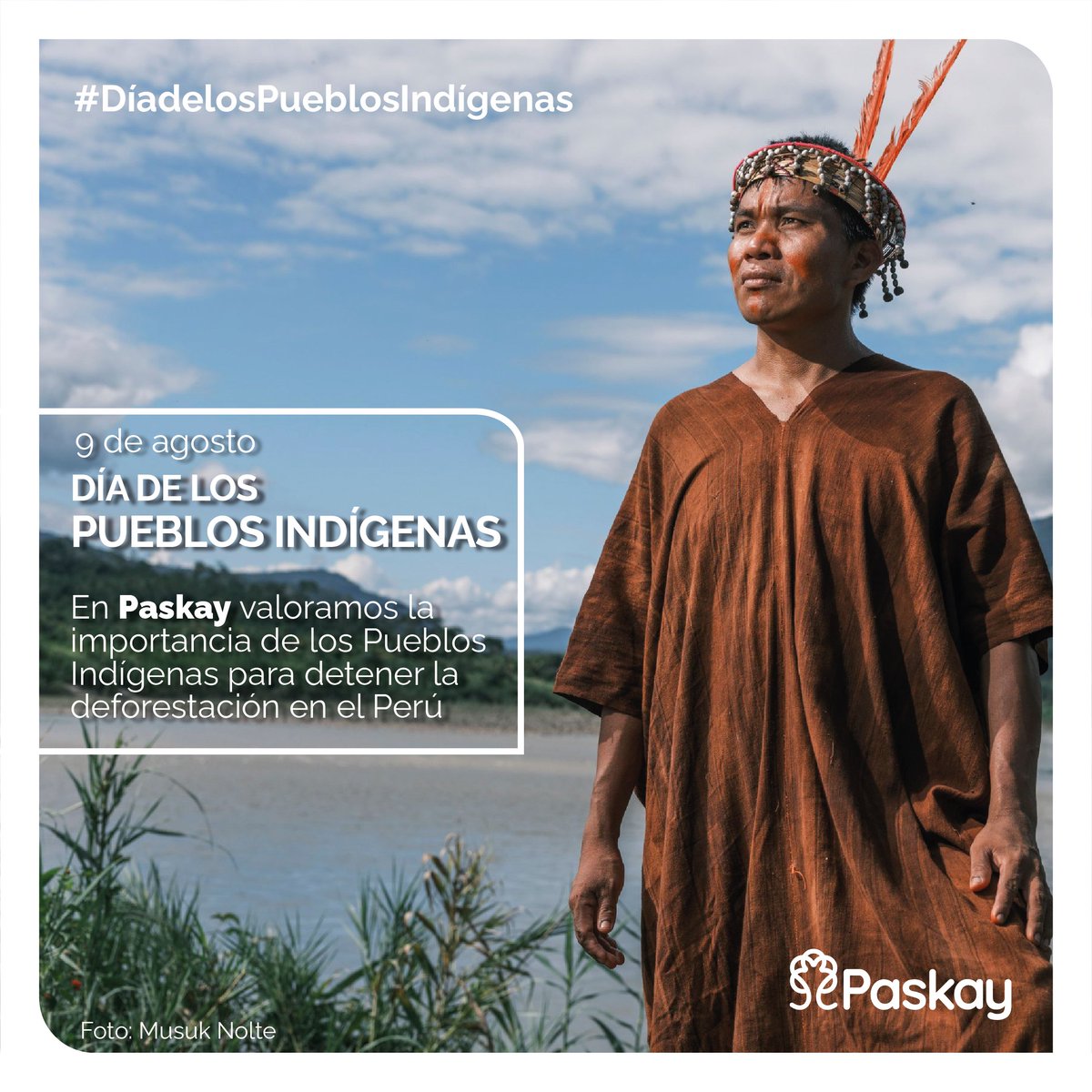 Paskaybosques's tweet photo. #DíaInternacionaldelosPueblosIndigenas   
Son los principales guardianes de los bosques. Gracias a sus prácticas ancestrales, han asegurado la conservación del 80% de la biodiversidad del planeta y los bosques que habitan proveen 1/3 de la solución al cambio climático. https://t.co/lKdDFow6k7