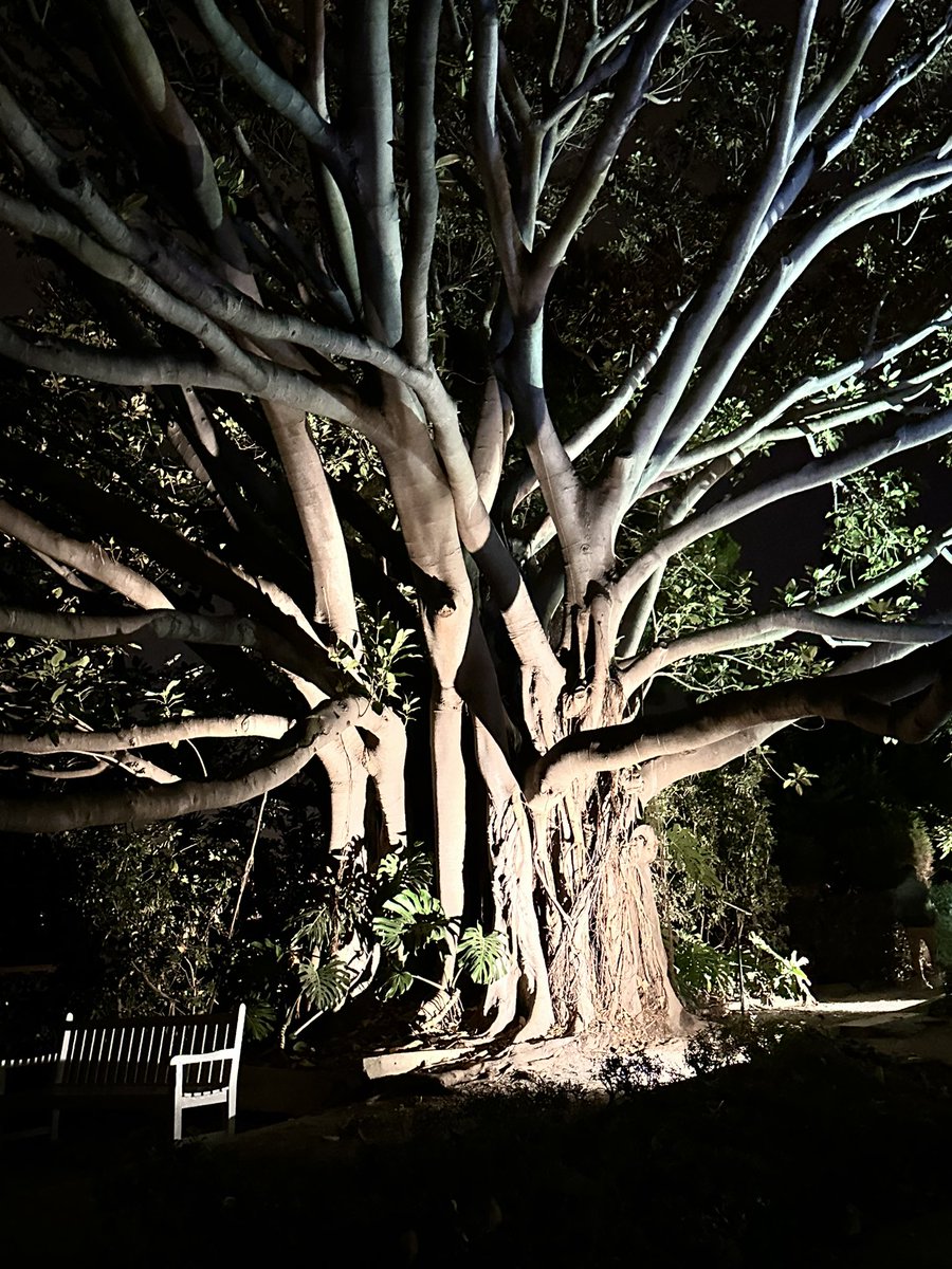 Summer concerts at #villaephrussi . <a href="/DavidEnhco/">David Enhco</a>