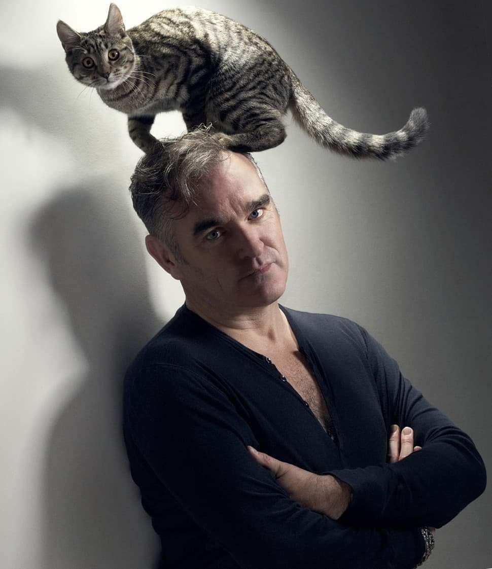 mozpicsdaily's tweet photo. morrissey and fanny the cat photographed by jake walters, 2010 https://t.co/bdU8O9usuK