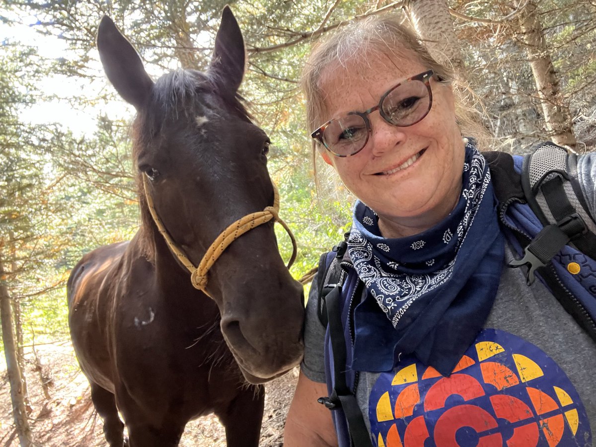 Amazing adventure in the Chilcotin thanks to Bracewells A.W.A. (Alpine Wilderness Adventures). Great rides/views, great horse, great leadership, great company.