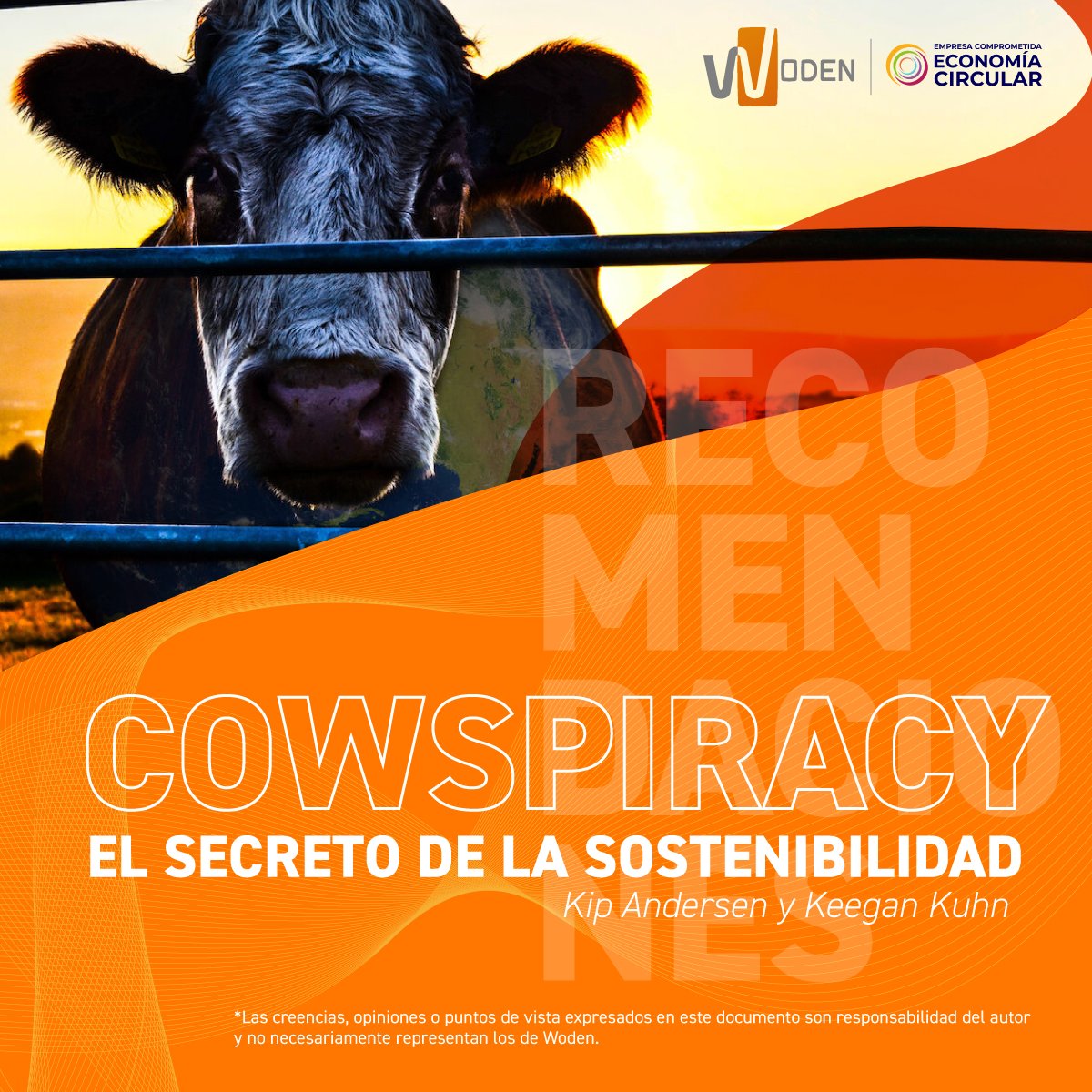 Woden Colombia tweet media