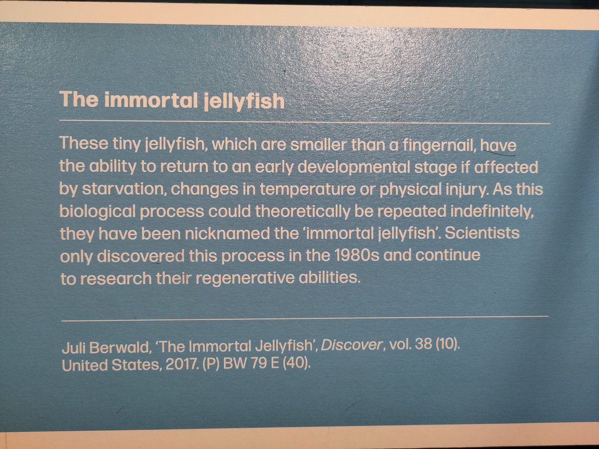 Phoebe Demeger (mostly on hiatus) (@phoebe_or_not) on Twitter photo Went to an exhibition at the <a href="/britishlibrary/">British Library</a> and I SCREAMED <a href="/JusttheZooofUs/">Just the Zoo of Us πππ¦¬</a> <a href="/elksneedle/">Ellen Weatherford π</a> πͺΌ Went to an exhibition at the <a href="/britishlibrary/">British Library</a> and I SCREAMED <a href="/JusttheZooofUs/">Just the Zoo of Us πππ¦¬</a> <a href="/elksneedle/">Ellen Weatherford π</a> πͺΌ