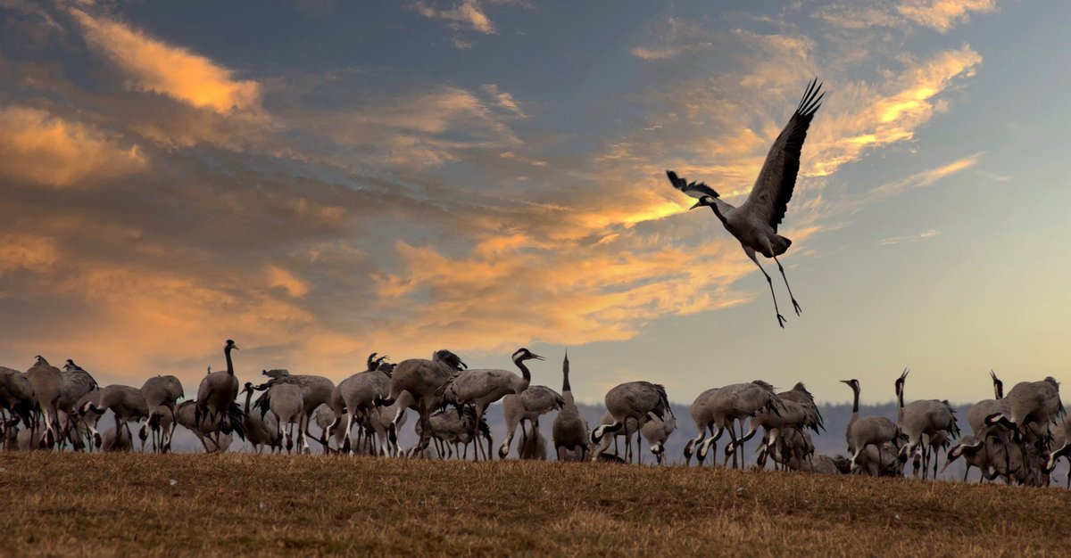 Gary Weeks Photography tweet media