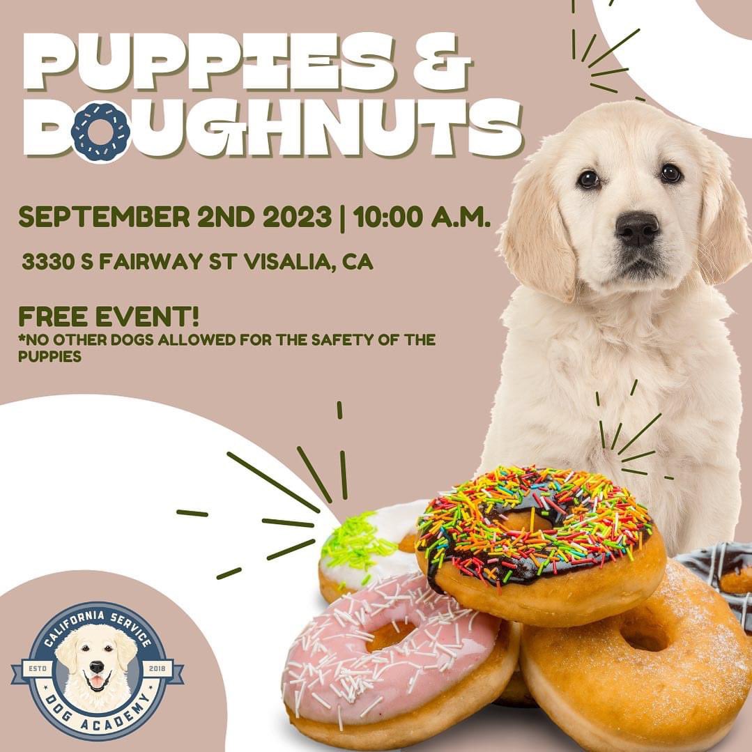 CASvcDogAcademy's tweet photo. Be sure to mark your calendars for our next #PuppiesAndDonuts event on September 2nd in Visalia, California! https://t.co/hXx6ycEvIX