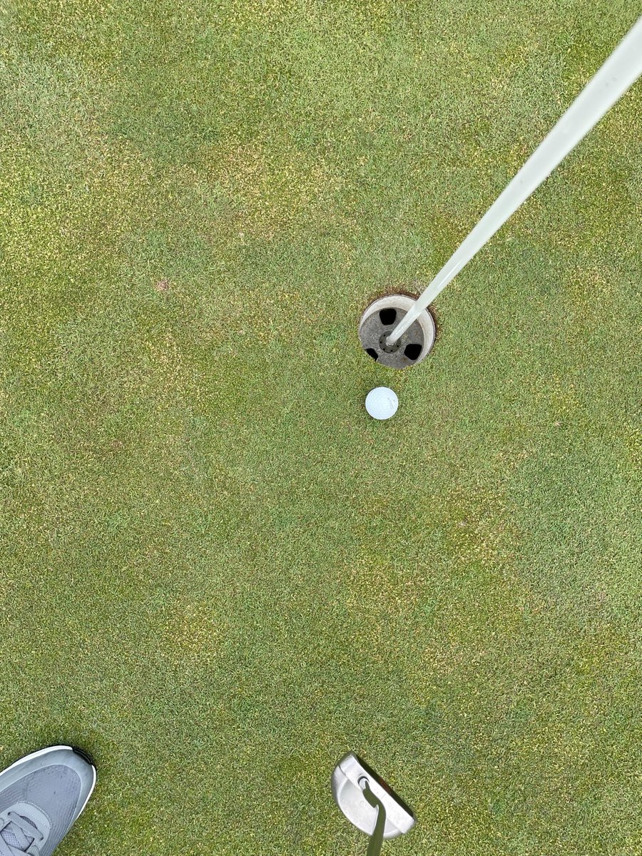 krausanderson's tweet photo. Even though we missed the putt by AN INCH we still had a great time at the Children's Minnesota Golf Event! #Golf #HoleInOne #KAInsurance #KADevelopment
@childrensmn https://t.co/QxSfzCjCYV