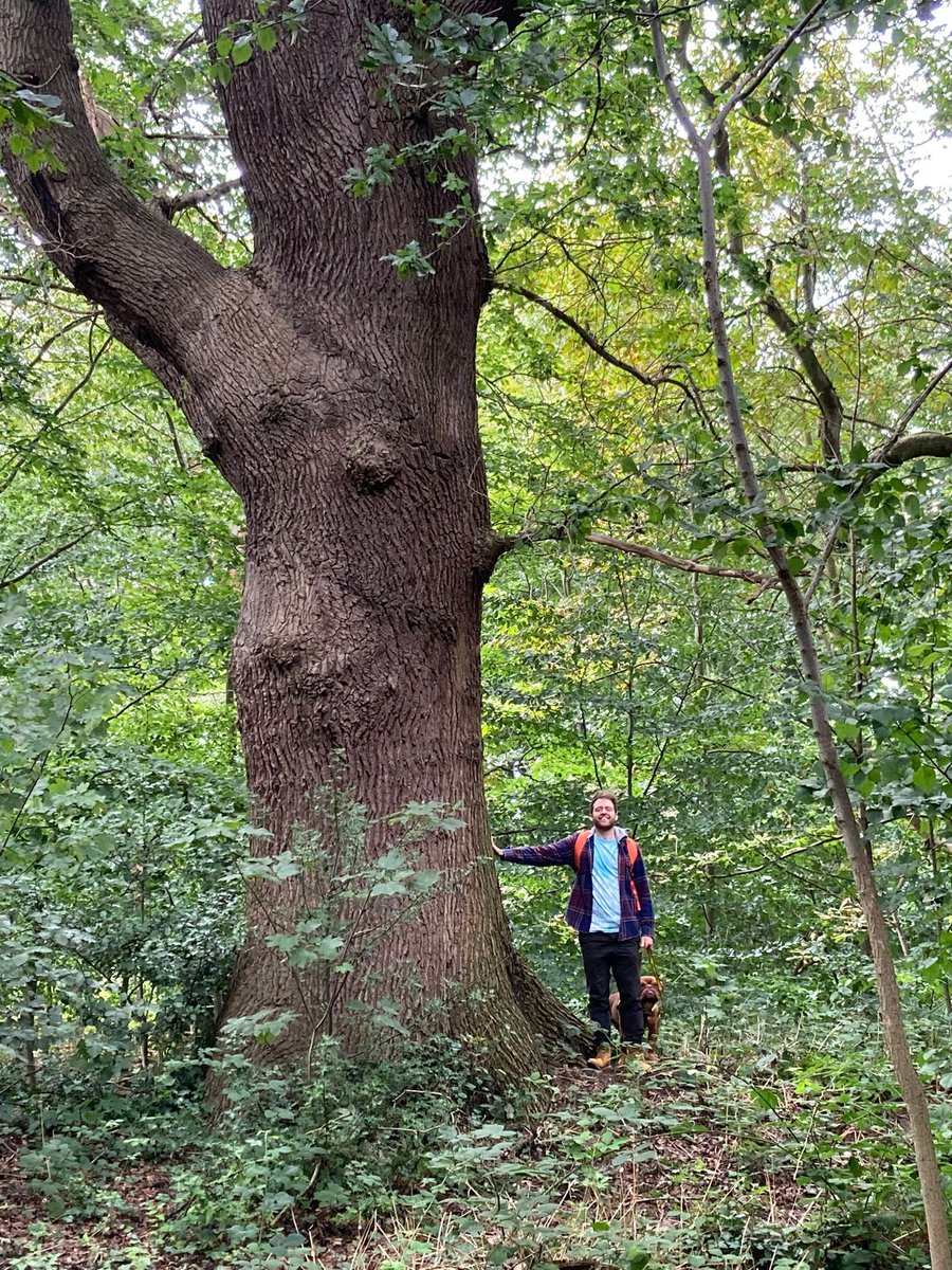 Alex Lowe tweet media