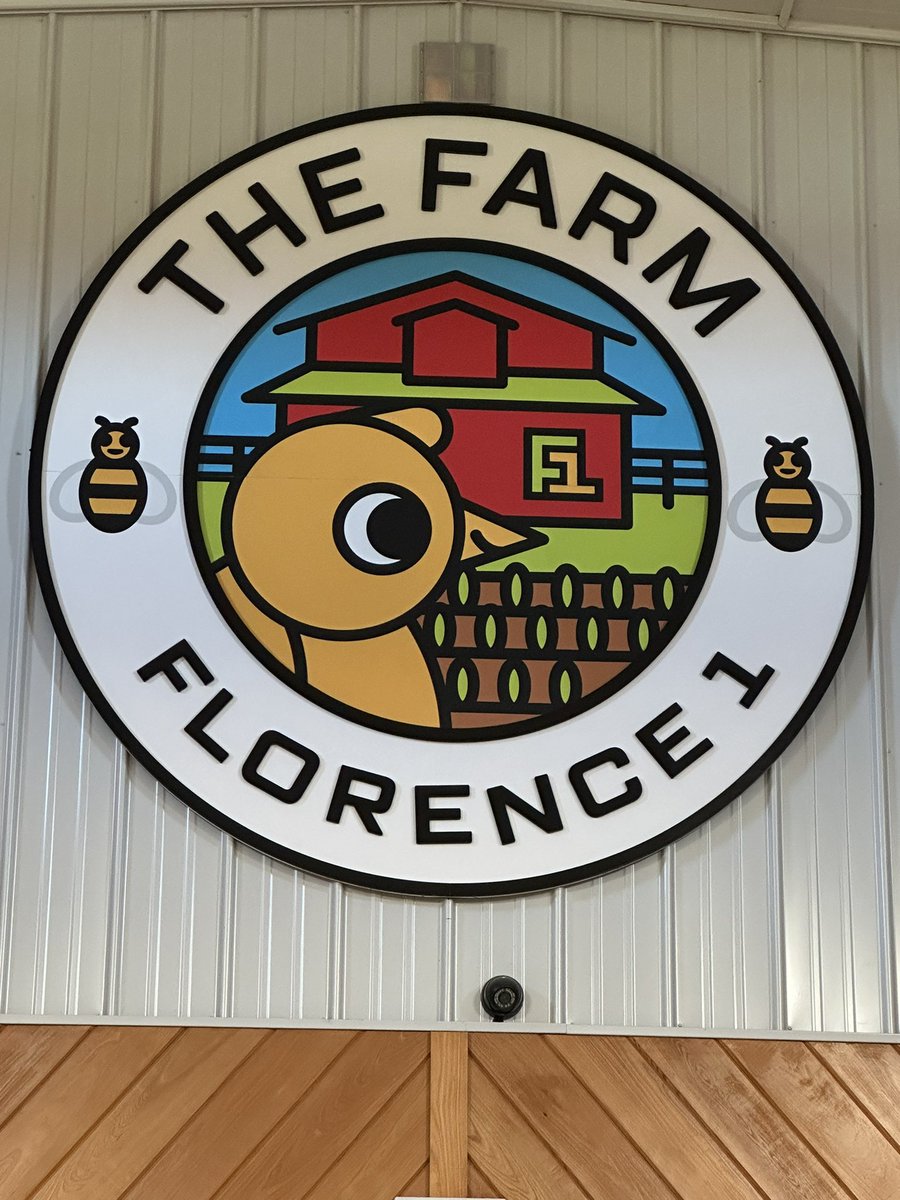 Mindy Taylor tweet media