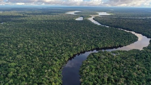 AlertaMundoNews's tweet photo. ÚLTIMA HORA: Países amazónicos crean alianza contra la deforestación - Comunicado conjunto. https://t.co/oGJjRnCHzf