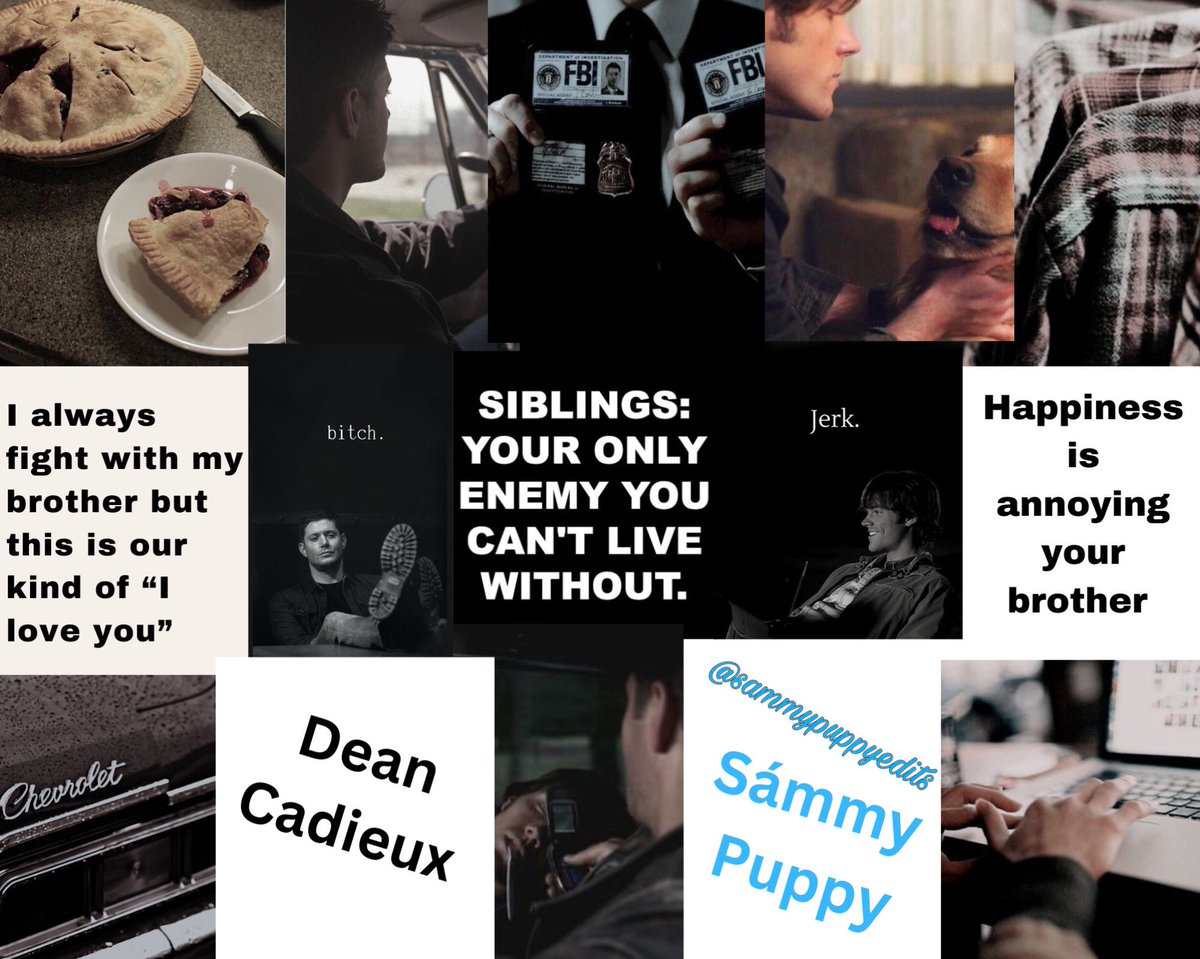 Sámmy Puppy tweet media